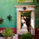 Boojum Tree Hidden Gardens in Phoenix, AZ Wedding Consultants