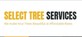 Select Tree Services in Kyle, TX Artificial Flowers Plants & Trees Rental