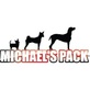 Michael's Pack New Jersey in Keyport, NJ Dog Training School