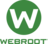 Webroot.com/safe in Murrieta, MA