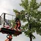 Raleigh Tree Service Pros in Angier, NC Tree Services