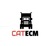 Cat Ecm in Fort Worth, TX