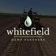 Whitefield hemp in Metamora, IL Agricultural Insurance