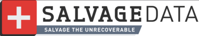 SALVAGEDATA Recovery Services in Charlotte, NC Data Recovery Service