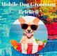 Mobile Dog Grooming Brickell in Miami, FL Pet Grooming - Services & Supplies