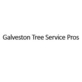 Galveston Tree Service Pros in Galveston, TX Tree Services