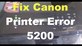 Fix Canon Printer Error 5200 Easily in Stipulated Time in New York, NY Accounting Tax & Computer Consultants