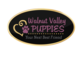 Walnut Valley Puppies in Flat Rock, IL Pets