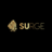 Surge Digital Agency in Roseville, MN