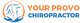 Your Mobile Provo Chiropractor in Provo, UT Chiropractor