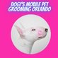 Dogi's Mobile Pet Grooming Orlando in Orlando, FL Caskets Pets