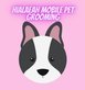 Hialeah Mobile Dog Grooming in Hialeah, FL Insurance Pet