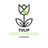 Tulip Carpet Cleaning Eldersburg in Eldersburg, MD