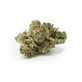 The Rare Collectives in Riverside, CA Health & Medical