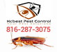Exporters Pest Control Services in Independence, MO 64050