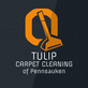 Tulip Carpet Cleaning of Pennsauken in Pennsauken, NJ Auto Upholstery Cleaning