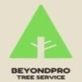 Beyondpro Tree Service in Tampa, FL Tree Consultants