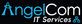 AngelCom IT Services in Fircrest, WA Computer Repair