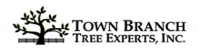 Town Branch Tree Expert in Lexington, KY 40508 Lawn & Tree Service