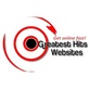 Greatest Hits Websites in Palmyra, PA Internet Web Site Design