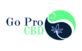 Go Pro CBD in Highland, IL Vitamins Raw Materials