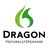 Nuance Dragon Technical Support Number +1-702-430-6099 in Georgetown, TX