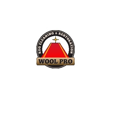 WoolPro Rug Cleaning in New Orleans, LA 70125 Home Improvement Centers