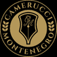 Camerucci Montenegro in Mesa, AZ Roofing Contractors