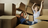Local Movers Orange Park FL in Orange Park, FL