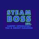 Steam Boss in Palm Harbor, FL Carpet Cleaning & Repairing