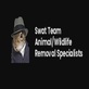 SWAT TEAM Animal Pest Control in North Arlington, NJ Pest Control Services