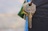 Locksmith Carrollton in Carrollton, TX