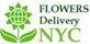 Plants Delivery Today NYC in New York, NY Flowers & Florist Supplies