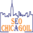 Seo Chicago IL in Chicago, IL