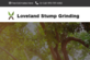 Loveland Stump Grinding in Loveland, CO Stump & Tree Removal