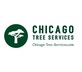 Chicago Tree Services in Chicago, IL Tree Services
