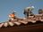 Local Roofing Contractor Omaha NE in Omaha, NE