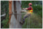The Syracuse Tree Service Pros in Syracuse, NY 13208 Tree Service