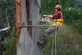Lawn & Tree Service in Peoria, IL 61614