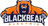 Black Bear Electric, in Aurora, CO