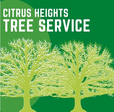 Citrus Heightstree Service in Citrus Heights, CA 95621