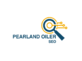 Pearland Oiler Seo | Pearland Digital Marketing Services in Pearland, TX Internet Marketing Services