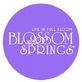 Blossom Springs Assisted & Memory Care Residences in Rochester, MI Health & Beauty & Medical Representatives