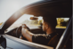 Vantage Affordable Auto Insurance of Zionsville in Zionsville, IN Auto Insurance