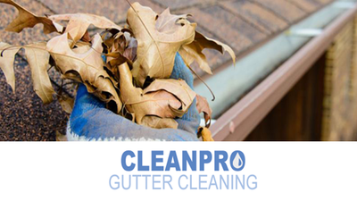 Clean Pro Gutter Cleaning Cedar Park in CEDAR PARK, TX Gutters & Downspout Cleaning & Repairing