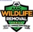 AAAC Wildlife Removal in Clarksville, TN
