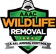 AAAC Wildlife removal of the Central Mountains in Evergreen, CO Animal Removal Wildlife