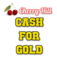 Cherry Hill Cash for Gold in Cherry Hill, NJ Diamonds & Other Precious Stones