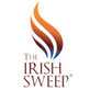 The Irish Sweep, in Alameda, CA Chimney & Fireplace Construction Contractors