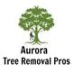 Stump & Tree Removal in Aurora, IL 60506